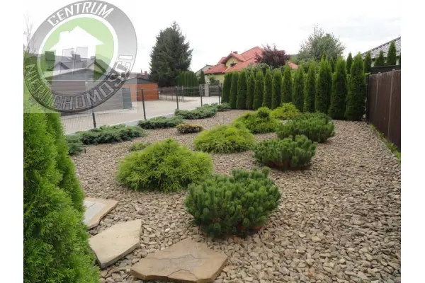 Nowy Sącz, os. Helena, Axentowicza Teodora, Mieszkanie na wynajem