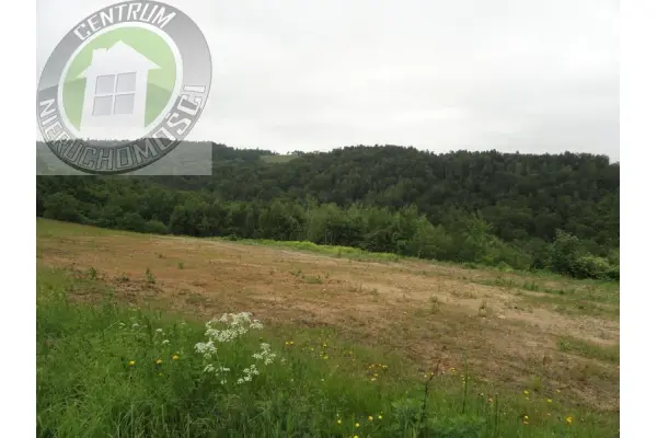 nowosądecki, Gródek n, Gródek nad Dunajcem, Dom na sprzedaż