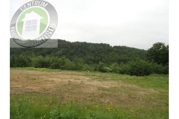 nowosądecki, Gródek n, Gródek nad Dunajcem, Dom na sprzedaż